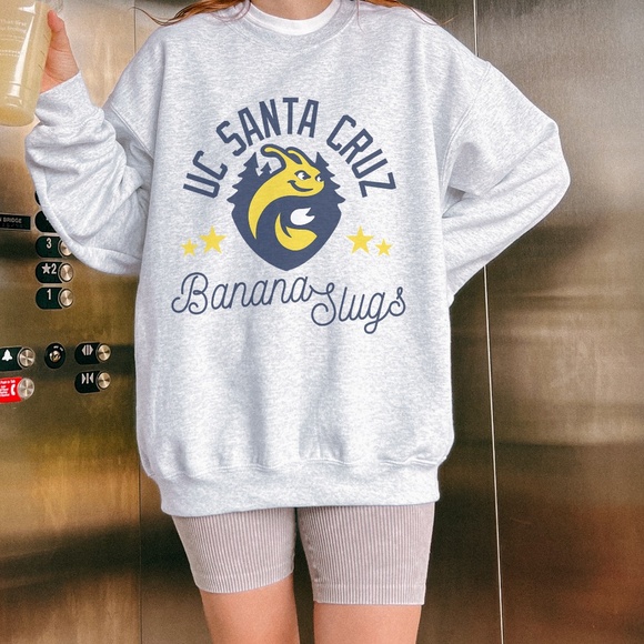Vintage UC SANTA CRUZ sweatshirt in classic gray oversized *multiple sizes - Picture 2 of 3